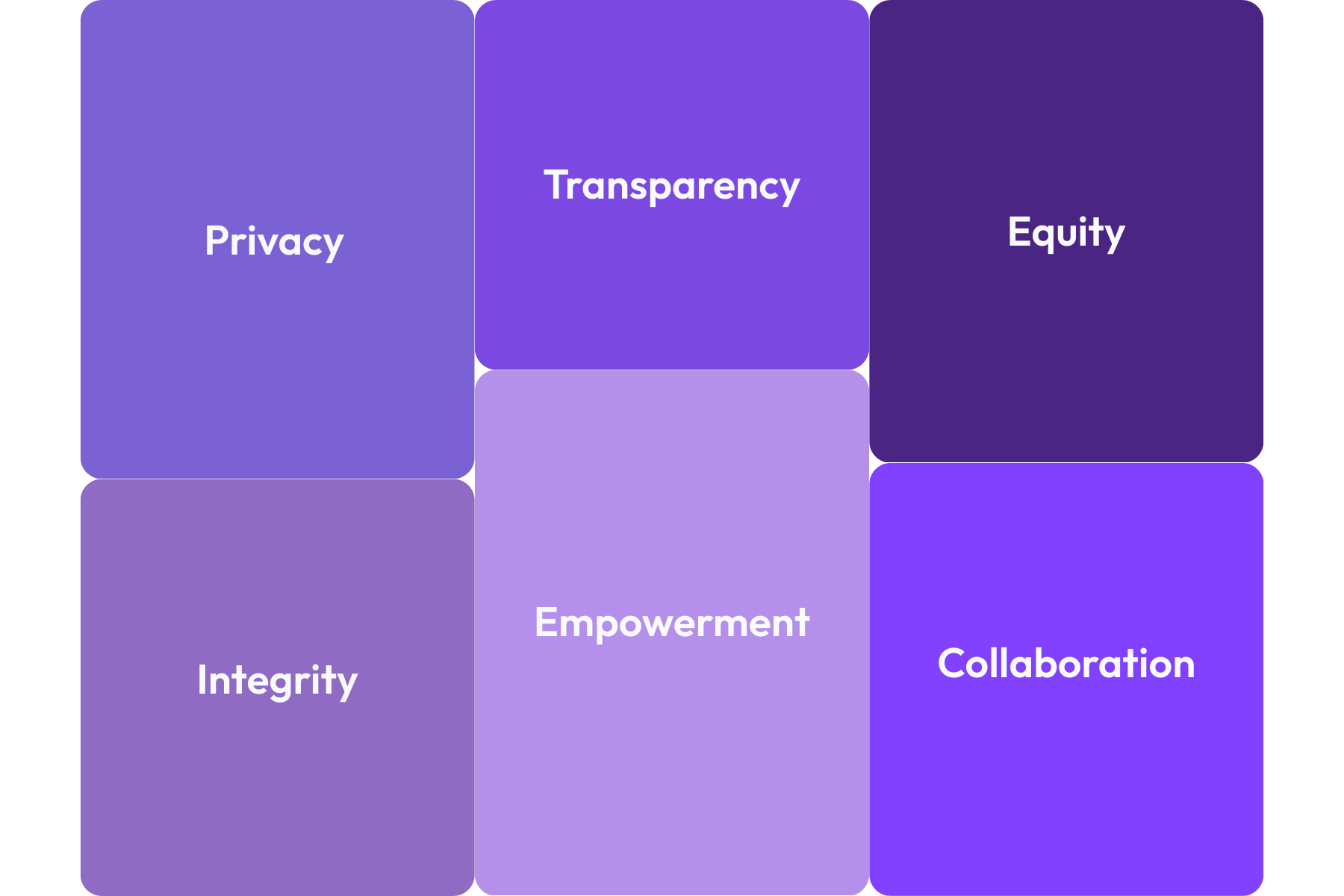 Our Guiding Principles: Privacy, Transparency, Equity, Integrity, Empowerment, Collaboration